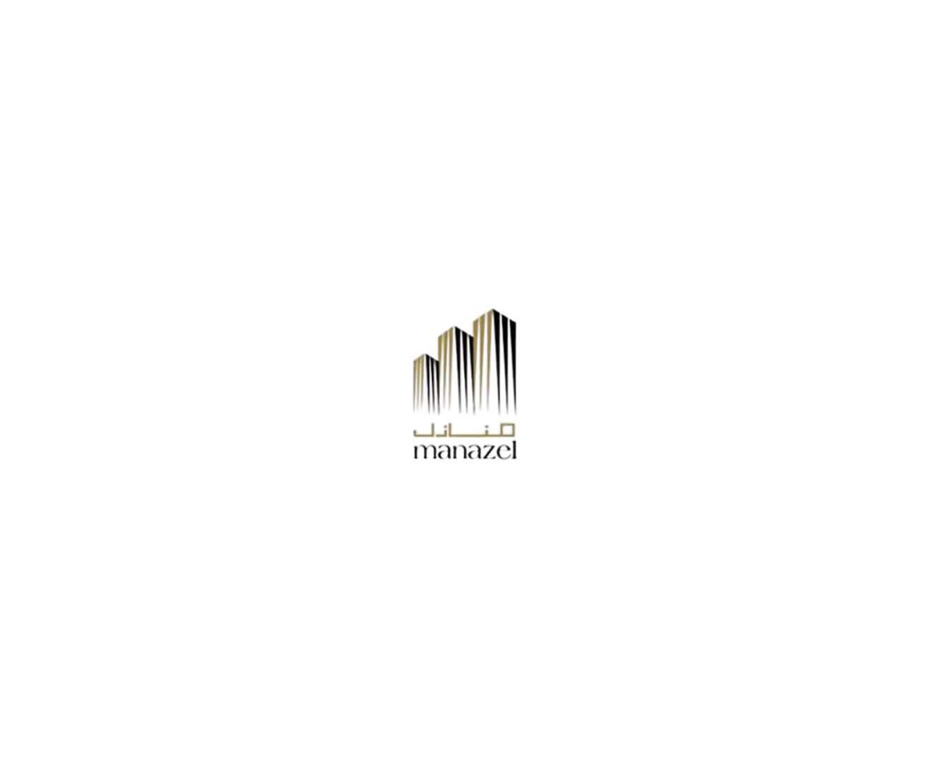 Developer 12
